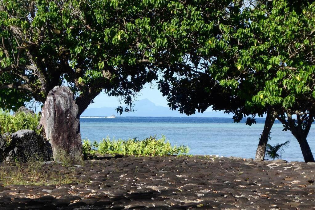Raiatea, Opoa, Studio Du Fare Reve, Acces Mer Privatif ภายนอก รูปภาพ