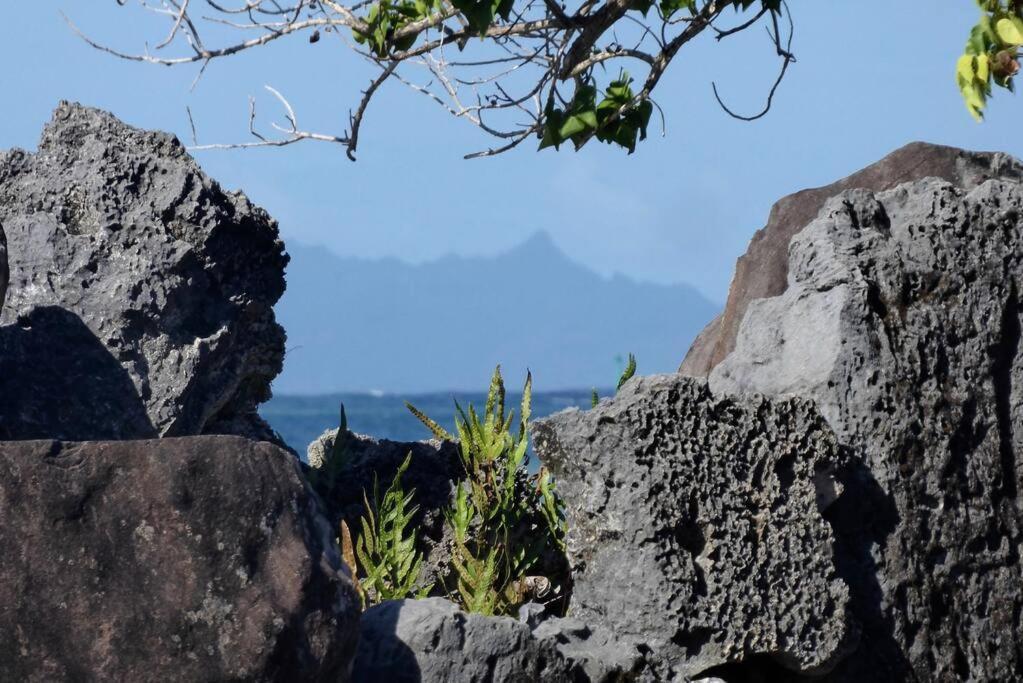 Raiatea, Opoa, Studio Du Fare Reve, Acces Mer Privatif ภายนอก รูปภาพ