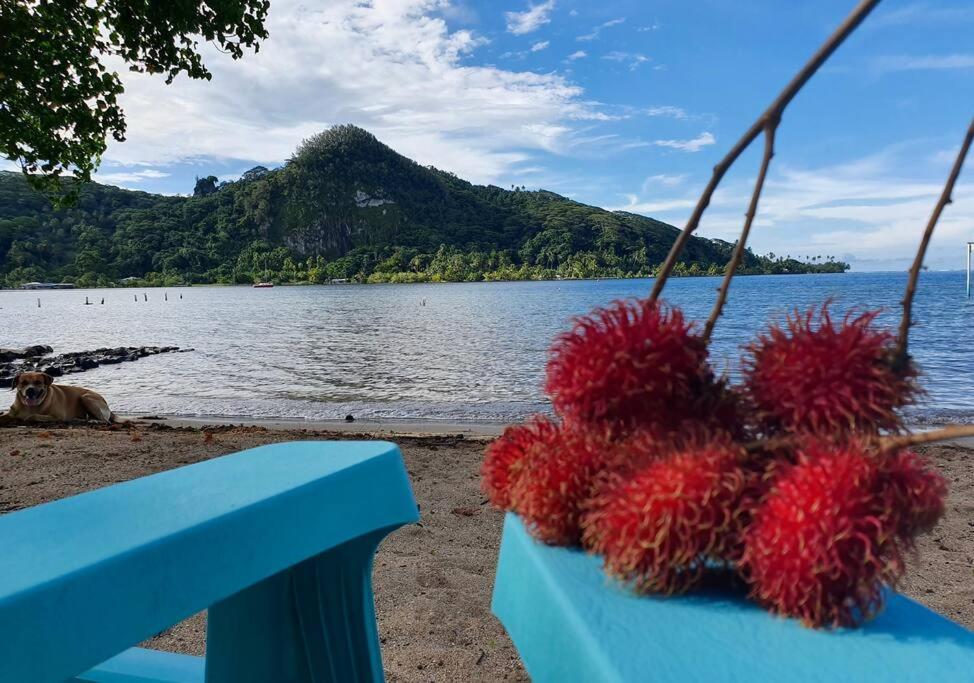 Raiatea, Opoa, Studio Du Fare Reve, Acces Mer Privatif ภายนอก รูปภาพ